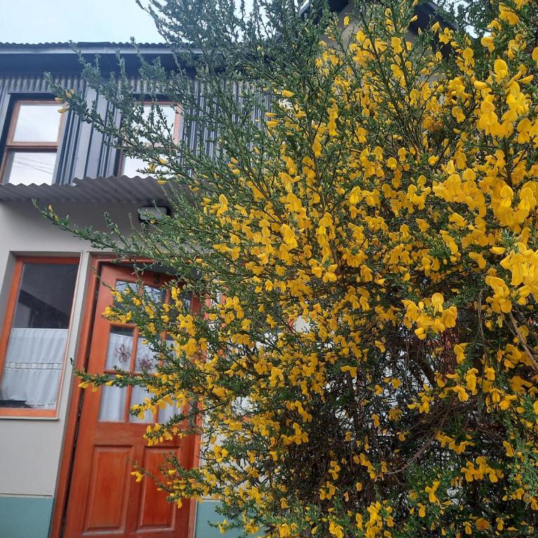 USHU-HOGAR- centro a1000m - Casa - 1
