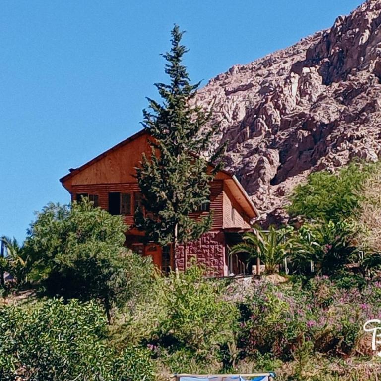Hermosa casa familiar para 8 personas - Cochiguaz Valle de Elqui - Casa de 4 dormitorios - 19