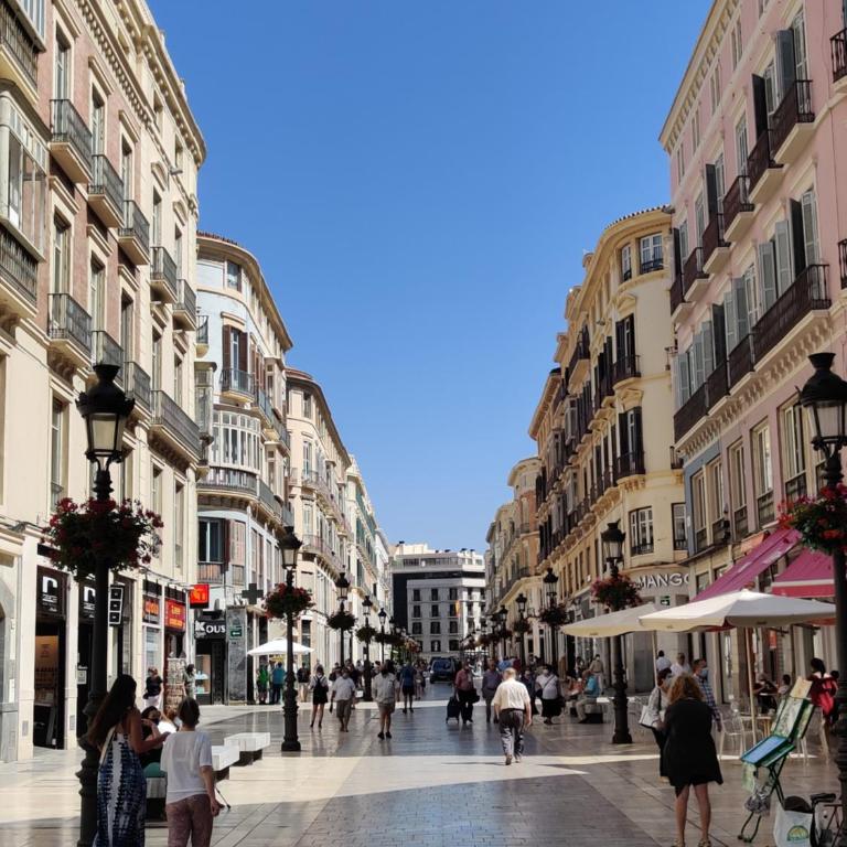 HIN17 Bajo - Apartamento de 1 dormitorio - 14