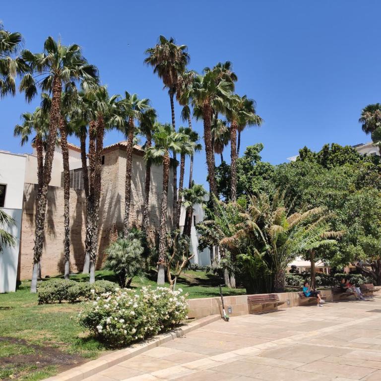 HIN17 Bajo - Apartamento de 1 dormitorio - 16