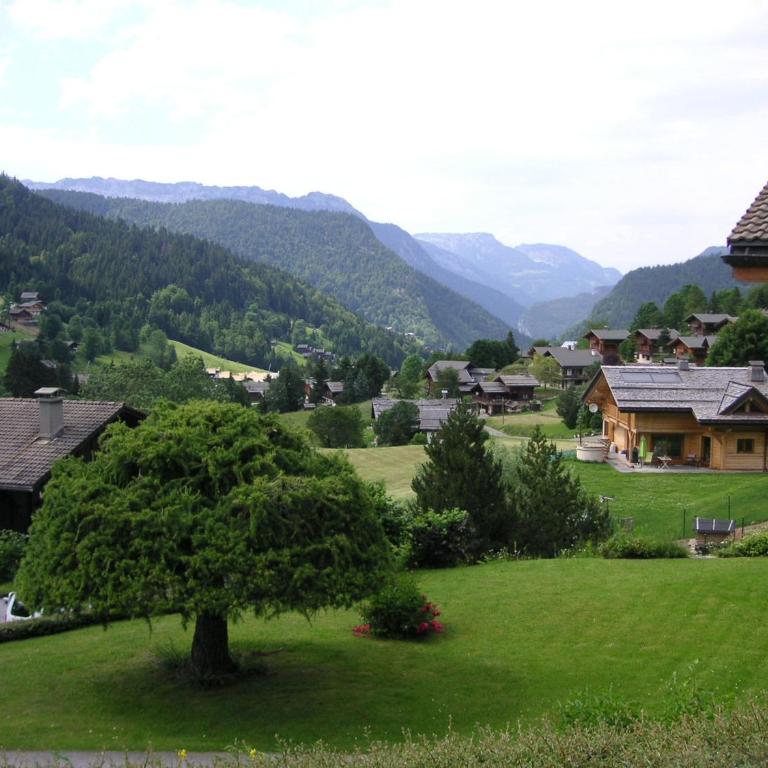 Rez de chalet calme avec terrasse - 2 chambres, proche pistes à La Clusaz - FR-1-437-10 - Appartement (6 Adultes) - 3
