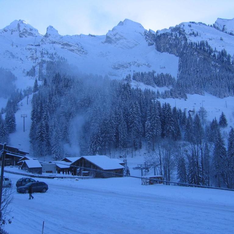 La Clusaz - 6 pers - 2 Ch - Proche pistes - Garage - FR-1-437-1 - Appartamento (6 Adulti) - 2