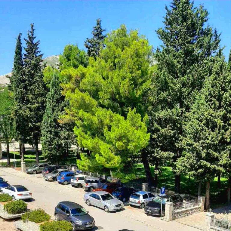 Apartman Park - Apartman sa 1 Spavaćom Sobom - 5