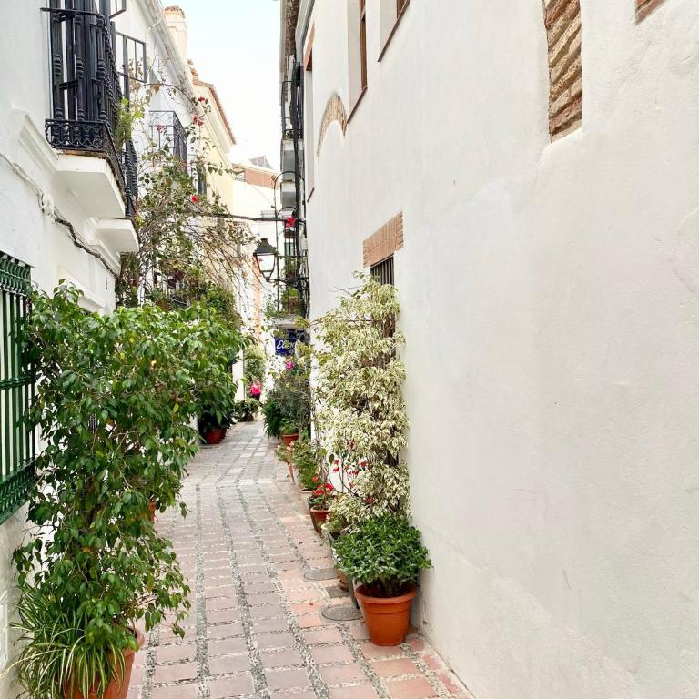 City Center Marbella Apartment - EaW Homes - Apartment - 32