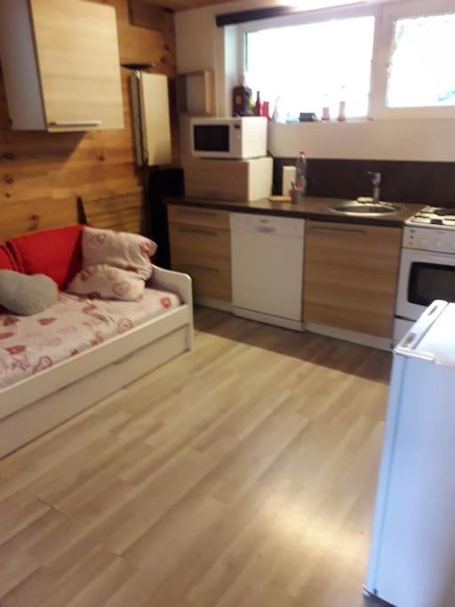 at foot of Mont Blanc studio 2 p - Estudio con sofá cama - 36