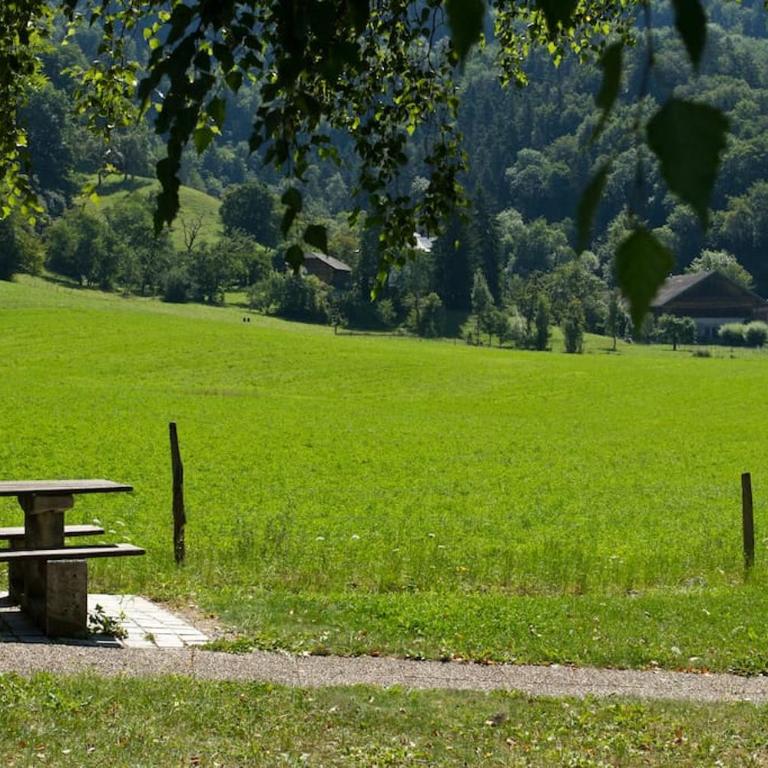 at foot of Mont Blanc studio 2 p - Estudio con sofá cama - 40