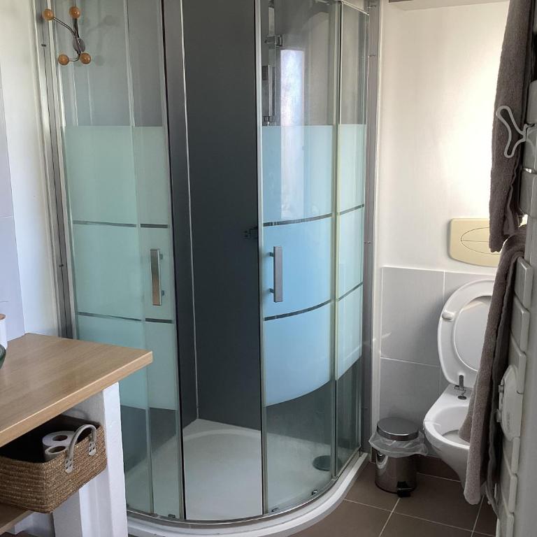 Chaleureux T2 30 m2 et sa terrasse bois 18 m2 - Appartement 1 Chambre - 8