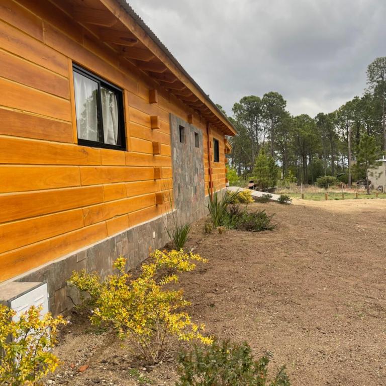 Complejo Anthea - One-Bedroom Chalet - 11