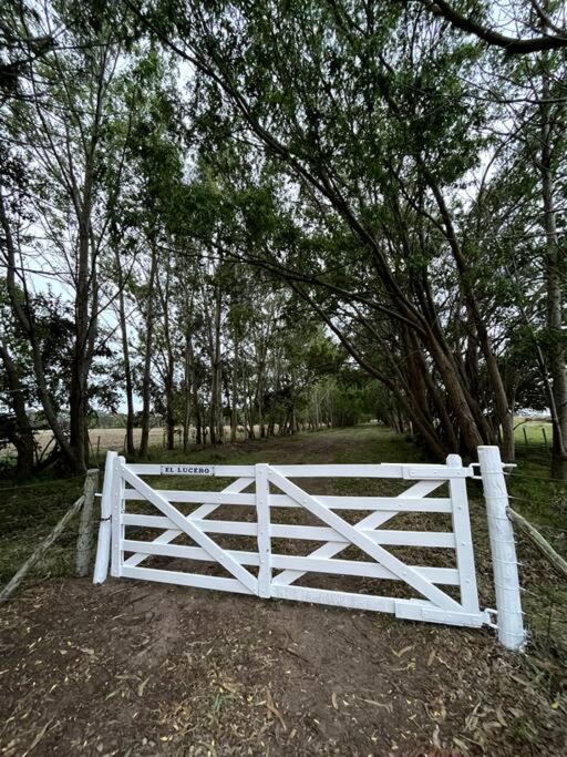 El Lucero, estancia - Four-Bedroom House - 18
