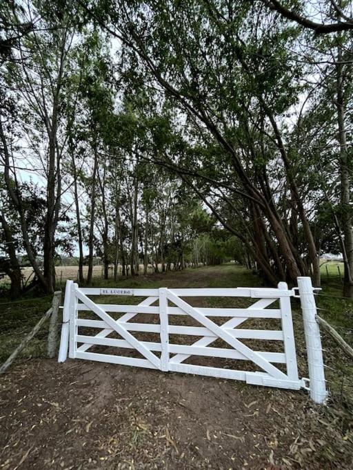 El Lucero, estancia - Four-Bedroom House - 30