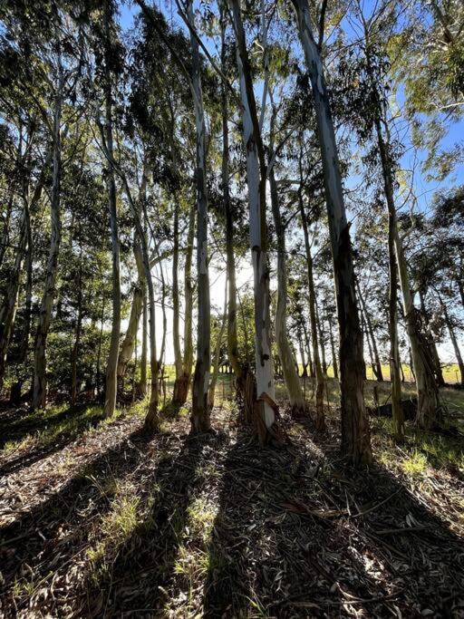 El Lucero, estancia - Four-Bedroom House - 34