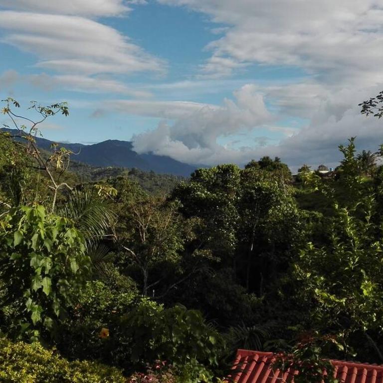 Backyard loft in the heart of the forest - One-Bedroom Apartment - 5