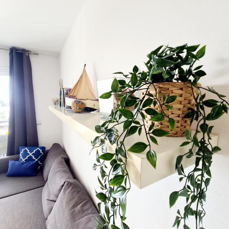 Endless Summer - Two-Bedroom House - 28