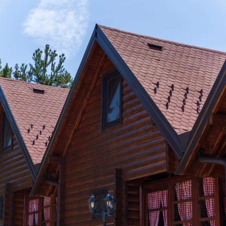 Zlatibor Brvnare Zakos - Brvnara sa 1 Spavaćom Sobom - 4