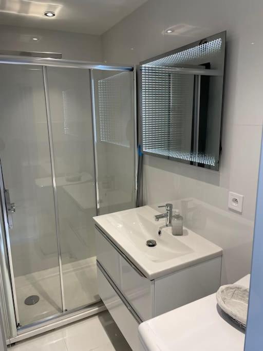 Eider croisette - Apartamento de 1 dormitorio - 16