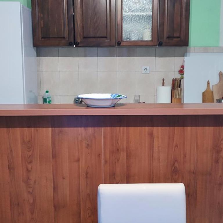 Apartman Sara Pale - Ski centar Ravna planina - mir, tišina, blizina Sarajeva - One-Bedroom Apartment - 6