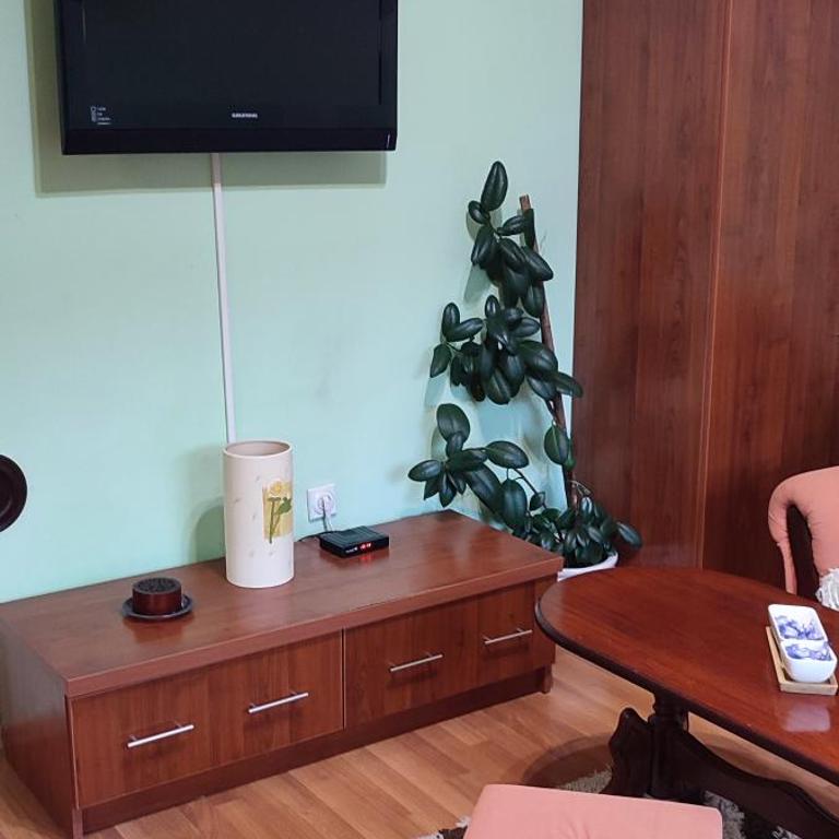 Apartman Sara Pale - Ski centar Ravna planina - mir, tišina, blizina Sarajeva - One-Bedroom Apartment - 5