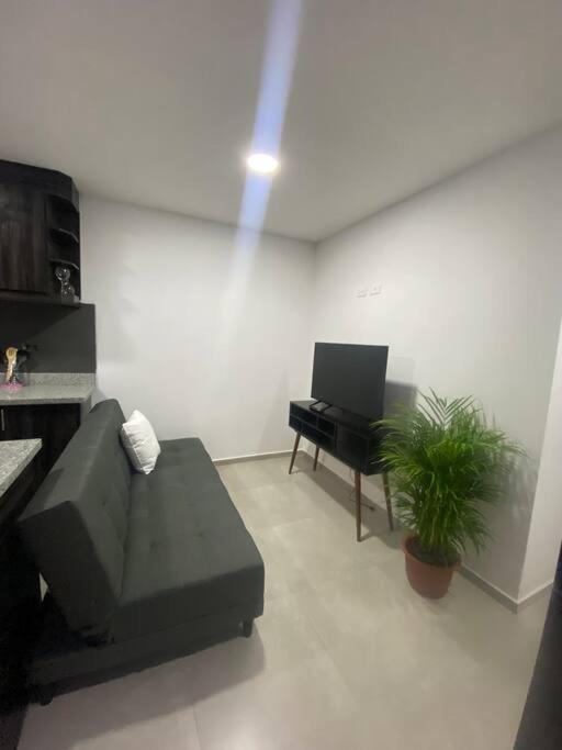 Lindo Departamento excelente ubicación - Apartamento de 2 dormitorios - 5