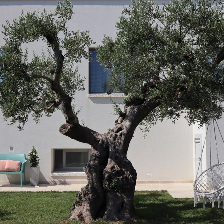 Trulli Casalina - Casa Vacanze - 21