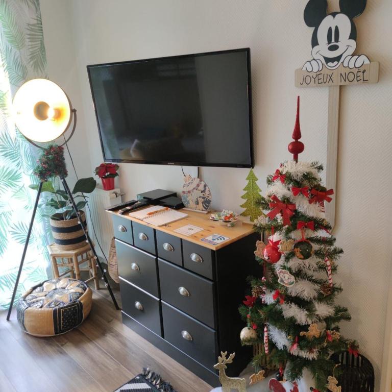 Lodge Du Petit Lion proche DISNEYLAND PARIS - Apartment - 3