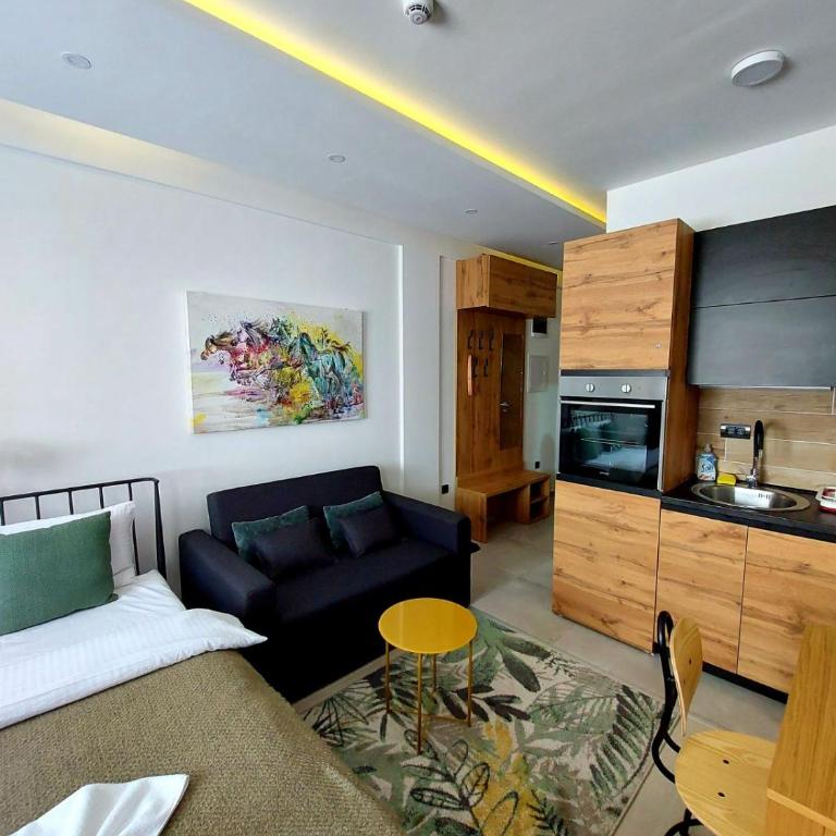 Milmari ApartmanVid N57 - Studio Apartment - 2