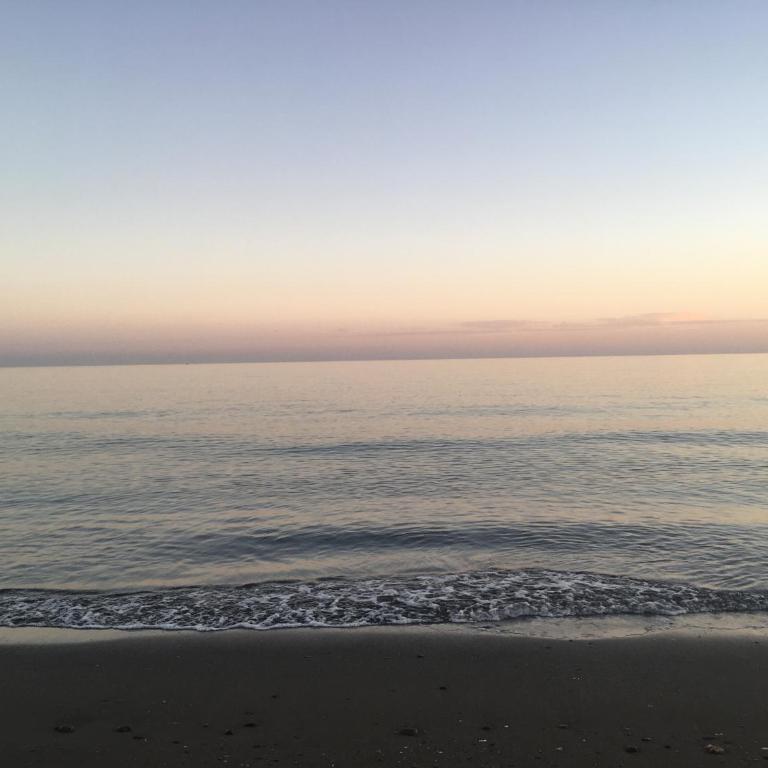 Malagueta Blue Beach - Apartamento de 1 dormitorio - 28