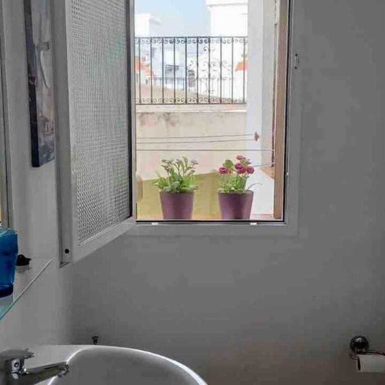 Luz, sol y arena - Apartamento de 2 dormitorios - 17