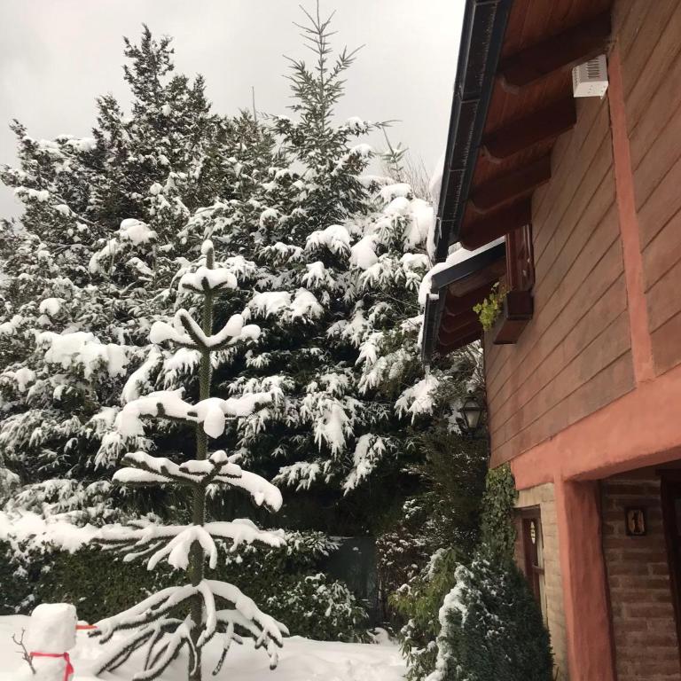 DAT "Lo de Bianca" - Bungalow - 7