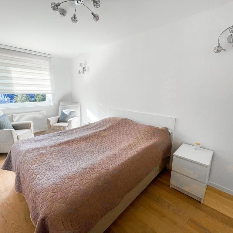 Olympic house - One-Bedroom Apartment - 4