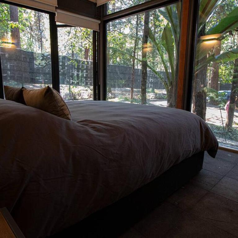 Casa William en el bosque - Chalet - 4
