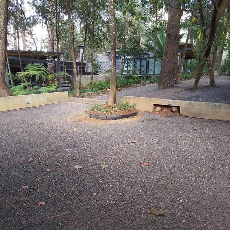 Casa William en el bosque - Chalet - 28