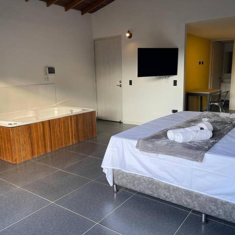 Hermoso loft con jacuzzi y balcon - One-Bedroom Apartment - 2