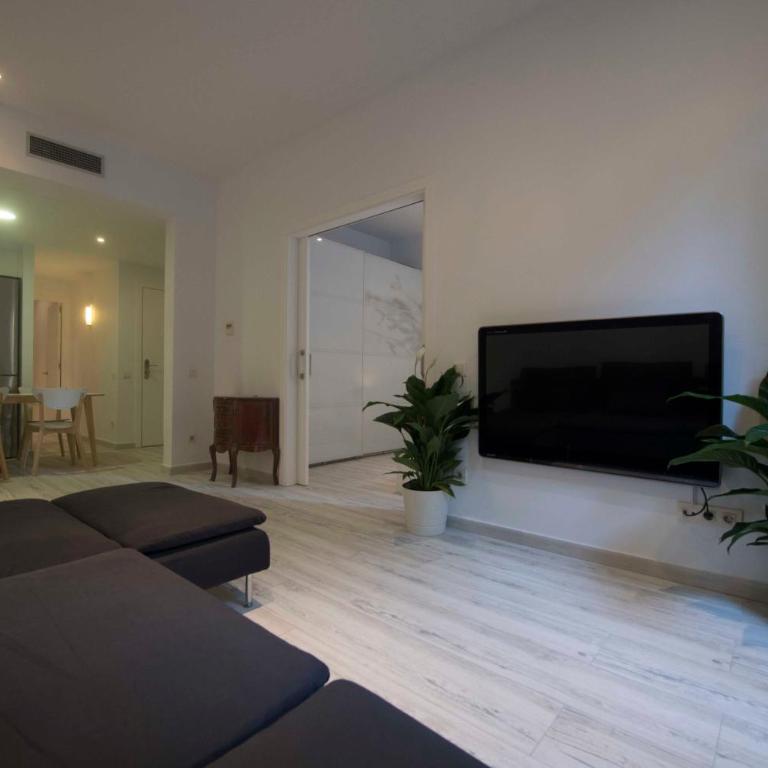 Paseo de Gracia Apartments - Two-Bedroom Apartment - 2