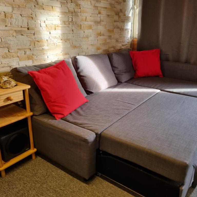 Studio 4 couchages dans un chalet tout confort - Appartement 1 Chambre - 3