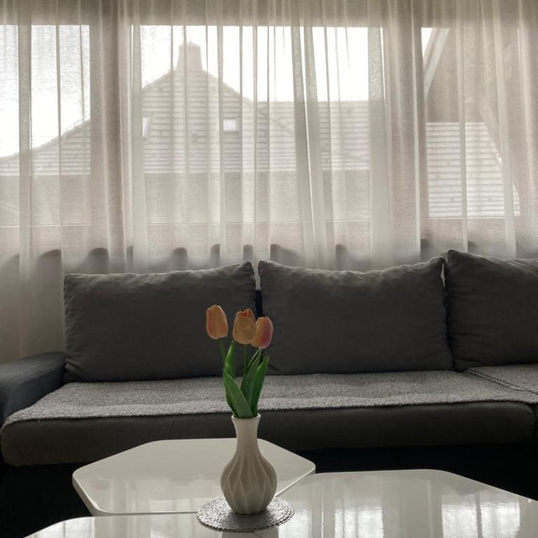 Apartman Radovanović - One-Bedroom Apartment - 15