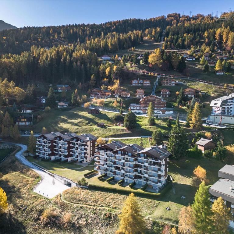 Apartment La Foret - Apartment - 9