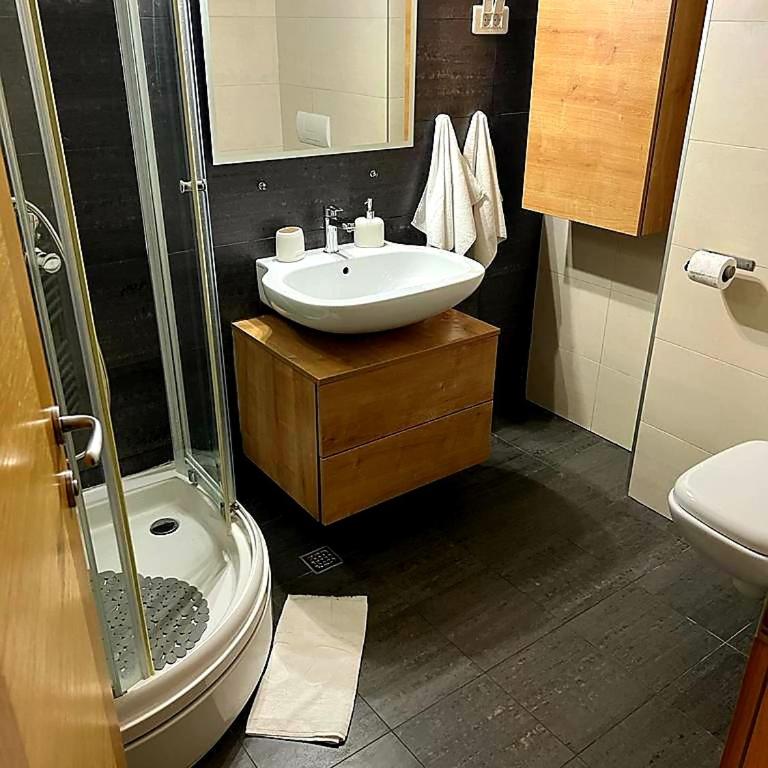 Apartment U245 in aparthotel Vucko - private host - One-Bedroom Apartment - 10