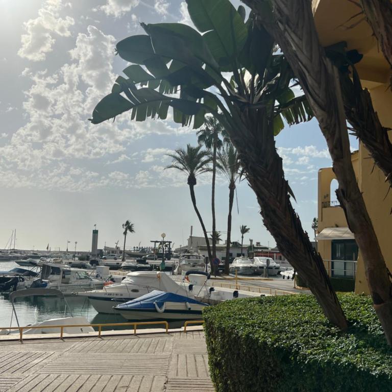 FASCINANTE Hogar en Cabo Pino en MARBELLA - Two-Bedroom Apartment - 71