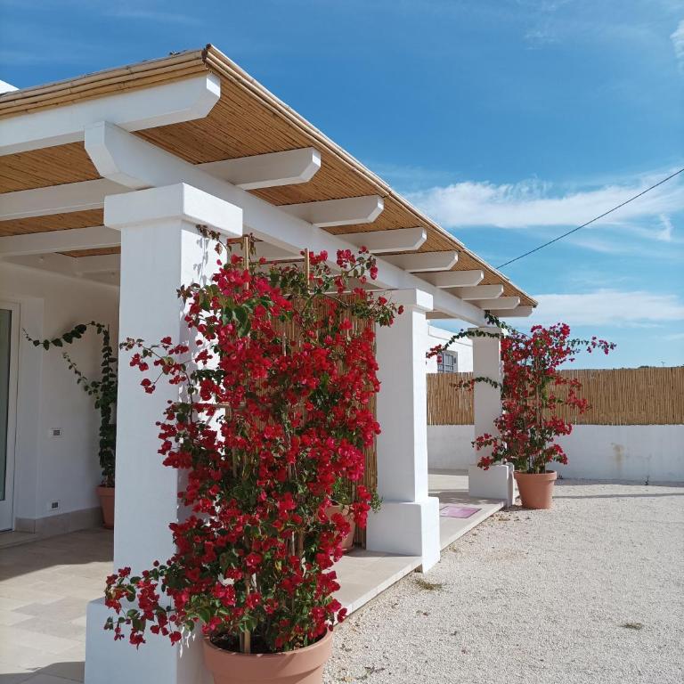 Villa Susca - villa sul mare - Villa con Vista Giardino - 25
