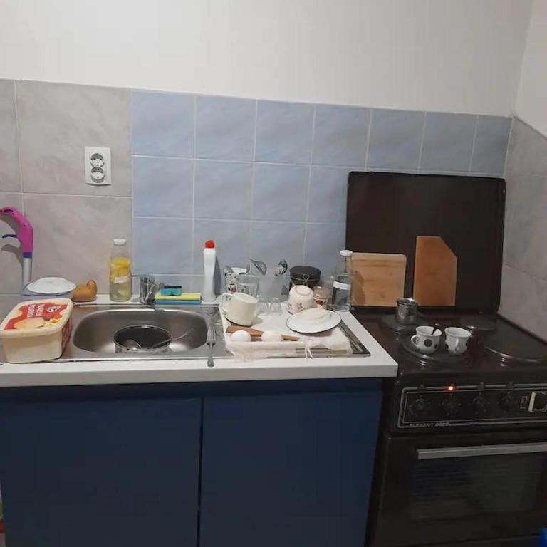 Jahorinska planinska kuća - Vacation Home - 6