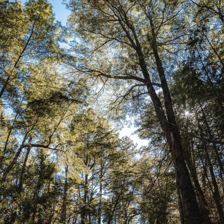 Patagonia East River - Chalet - 17