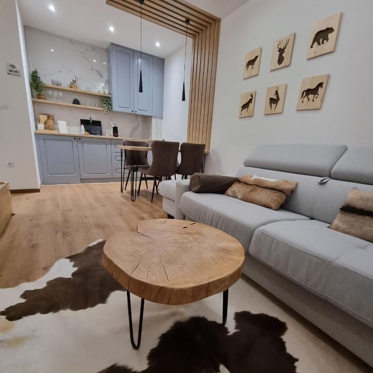 Apartman Drvorez-direktno na ski stazi - One-Bedroom Apartment - 7