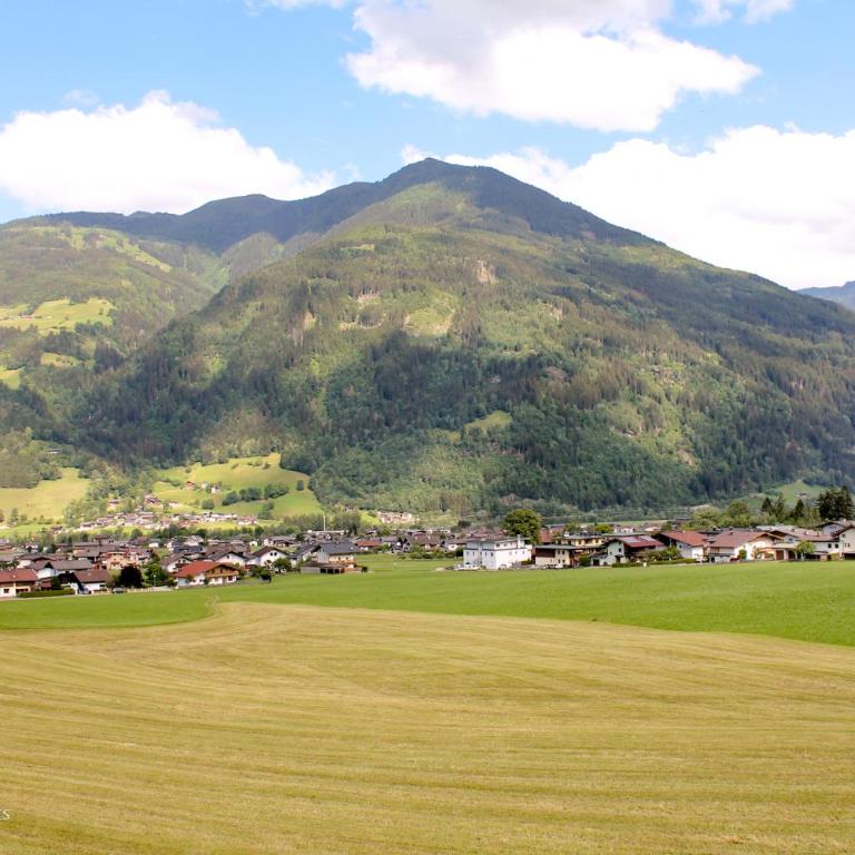 TheView Ahorn - Apartment - Erdgeschoss - 3