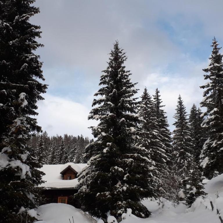 Fuggerhütte - Haus mit 3 Schlafzimmern - 30