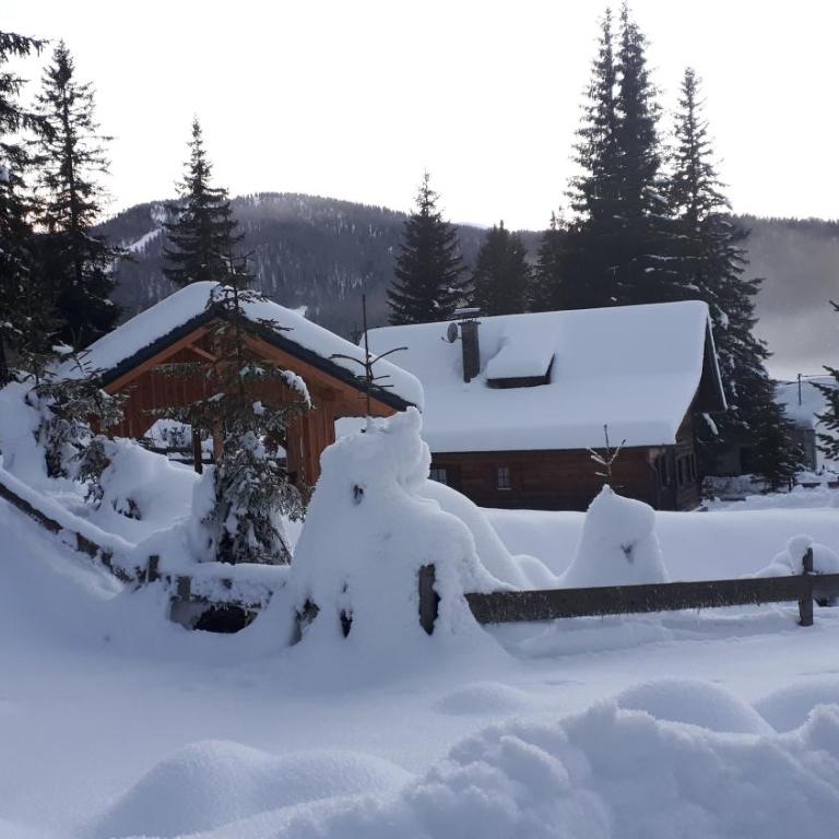 Fuggerhütte - Haus mit 3 Schlafzimmern - 36