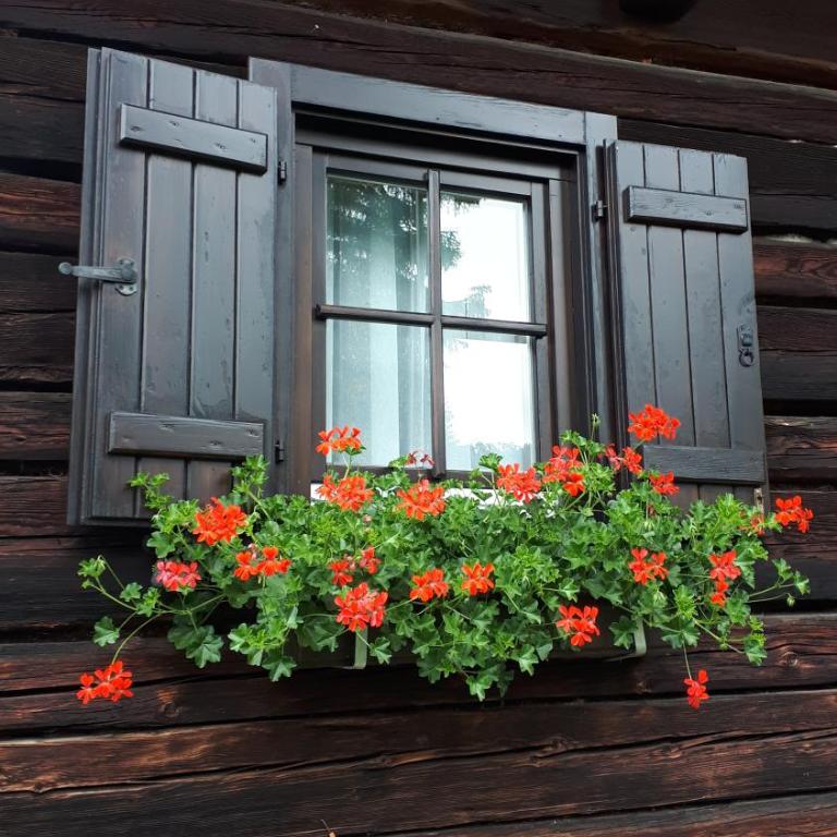 Fuggerhütte - Haus mit 3 Schlafzimmern - 5