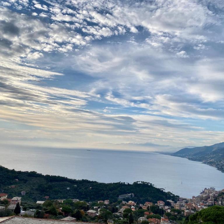 Portofino House - Appartamento con 1 Camera da Letto - 9