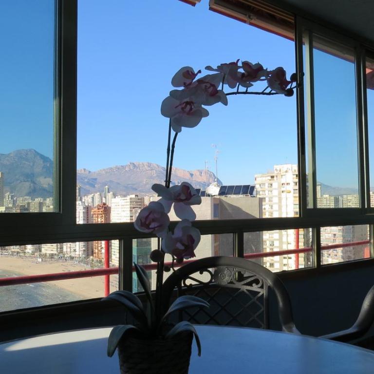 Apartment Alcalde Manuel Catalán Chana - Apartamento de 2 dormitorios con vistas al mar - 1