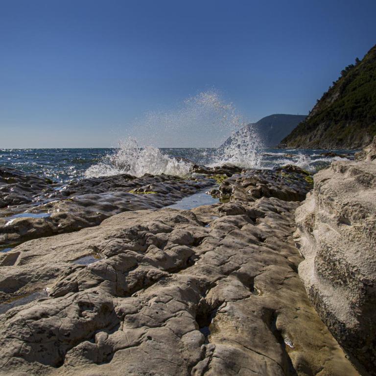 BREZZA DEL CONERO - Appartamento - 37