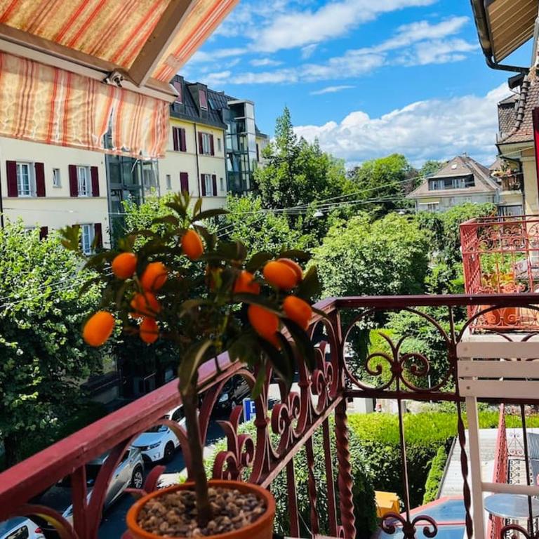 A deux pas du lac et de IMD, Ouchy bel appartement - Apartment mit 1 Schlafzimmer - 1